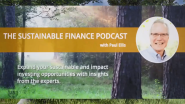 Sustainable finance podcast with Paul Ellis