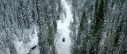road through snowy forest