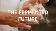 Two hands dusted with flour. "The Fermented Future".
