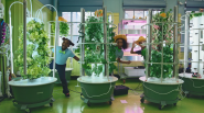 Children popping out from behind three tower gardens in a classroom.