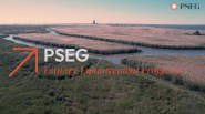 PSEG Estuary Enhancement Program