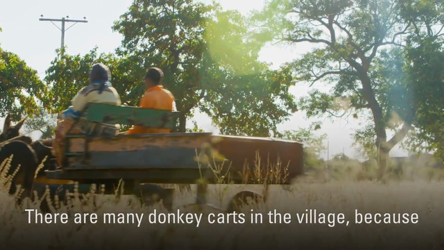 Image of 2 men sitting on a donkey cart
