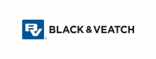 Sustainability, Resilience, Data Command Top Spots in Black - Vimarsana News