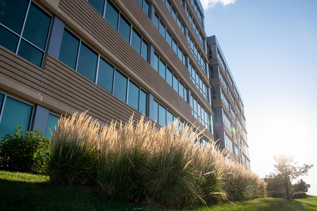 Arrow HQ Offsets 100 of Emissions From Electricity Consumpt