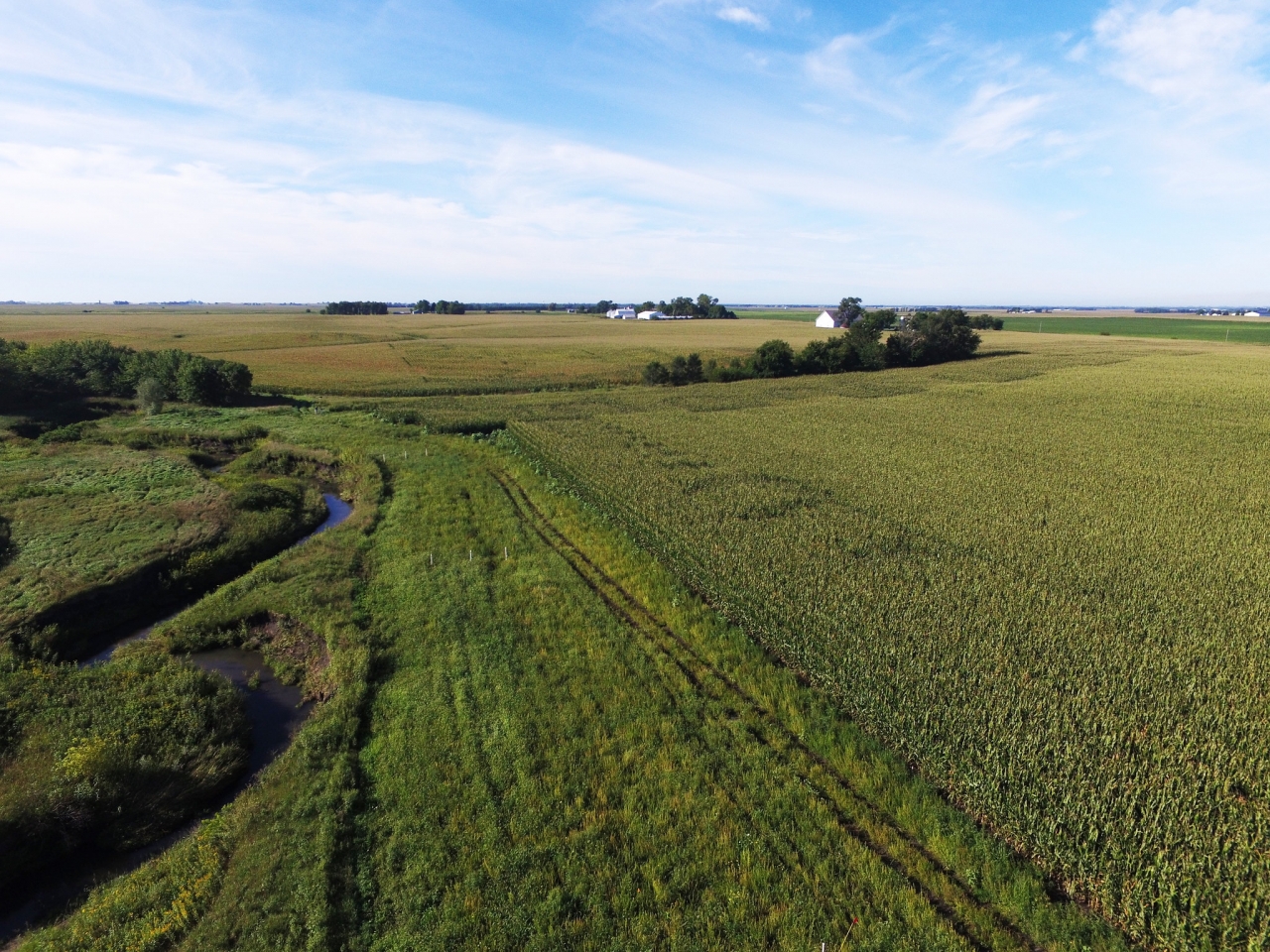 Edge of Field Practices Can Help Food and Ag Companies Meet Sustainability Goals Justmeans