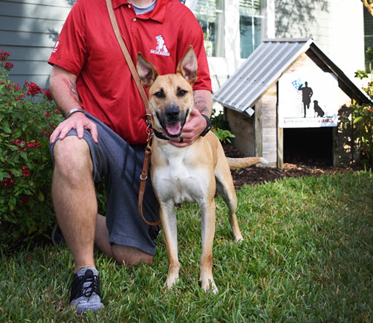 k9 for warriors dog adoption