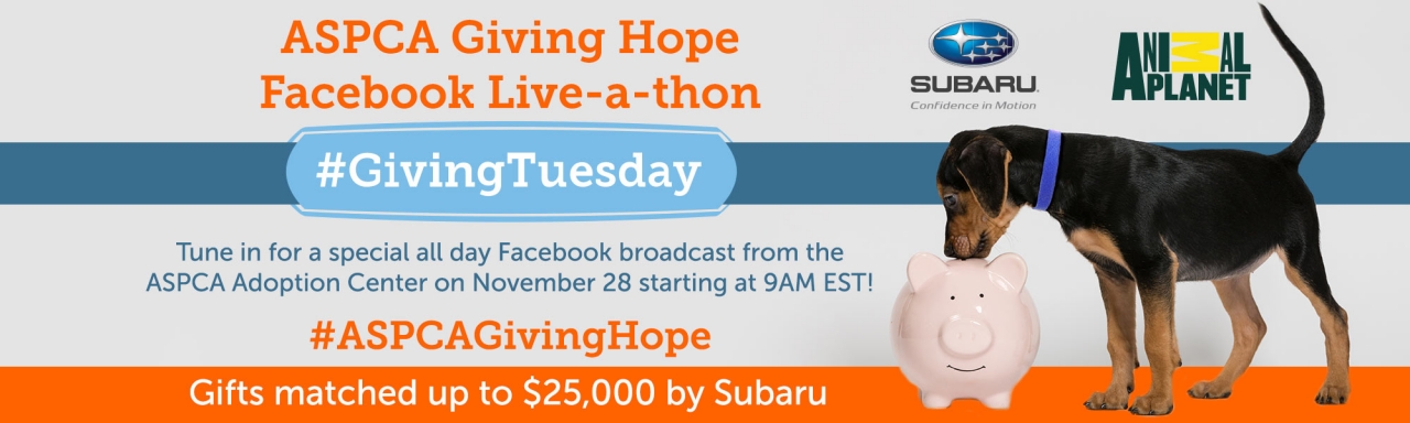 Aspca Hosts Its First Giving Hope Facebook Live A Thon