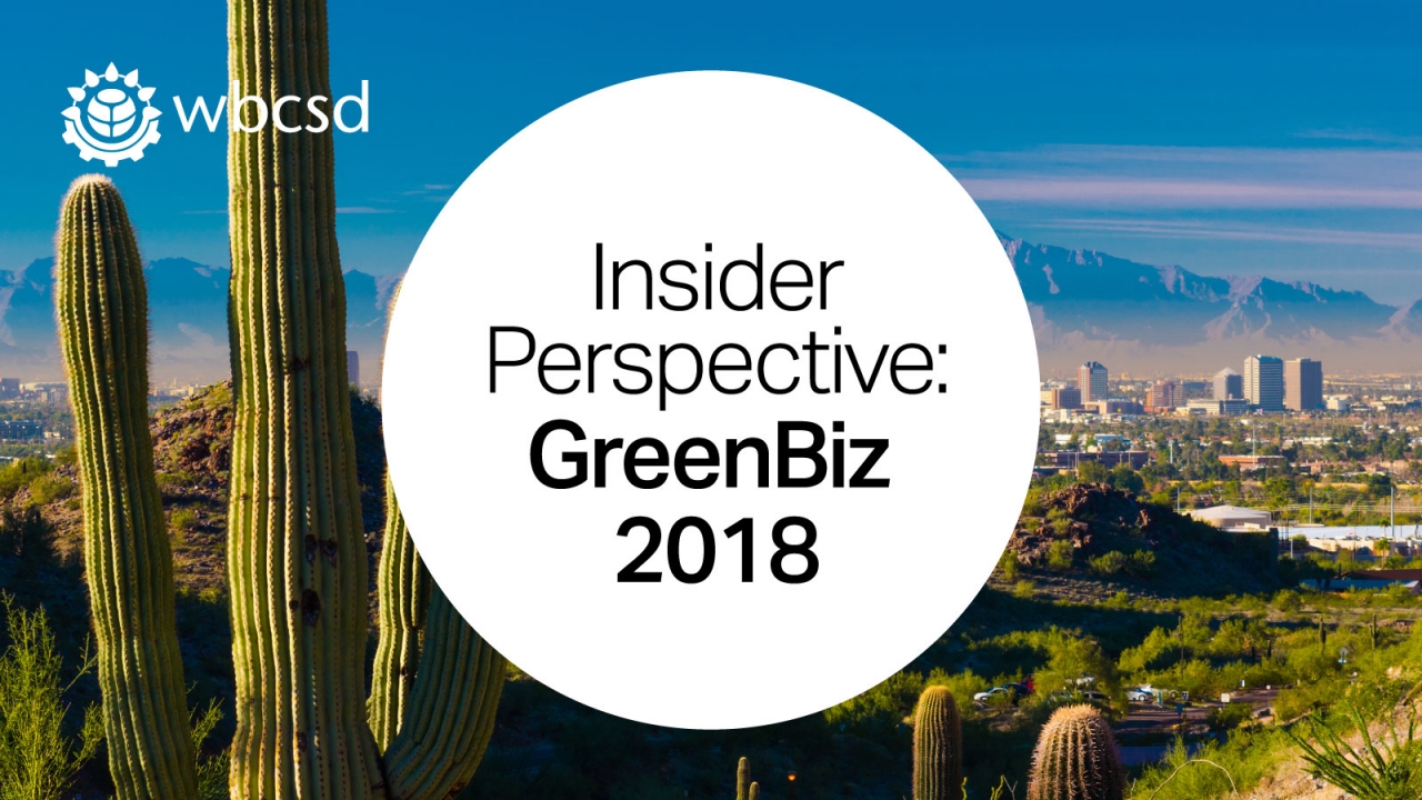 WBCSD Insider Perspective 2018