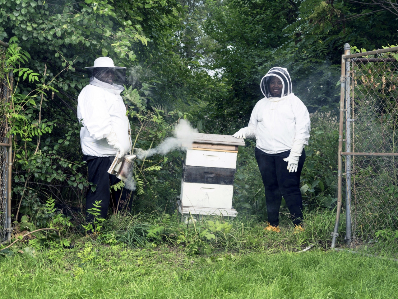 Sustainability in Detroit, Part 2 Making Way for Bees