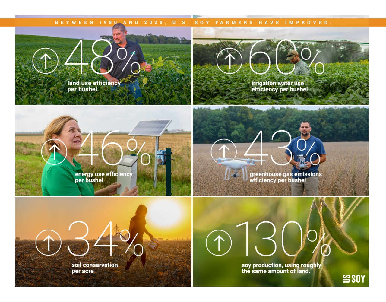 United Soybean Board Releases 2021 Sustainability Overview
