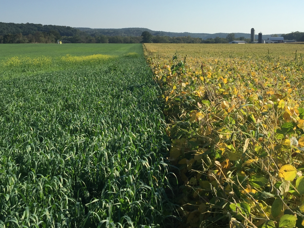 Advancing Biological Farming: Practicing Mineralized, Balanced Agriculture to Improve Soil & Crops
