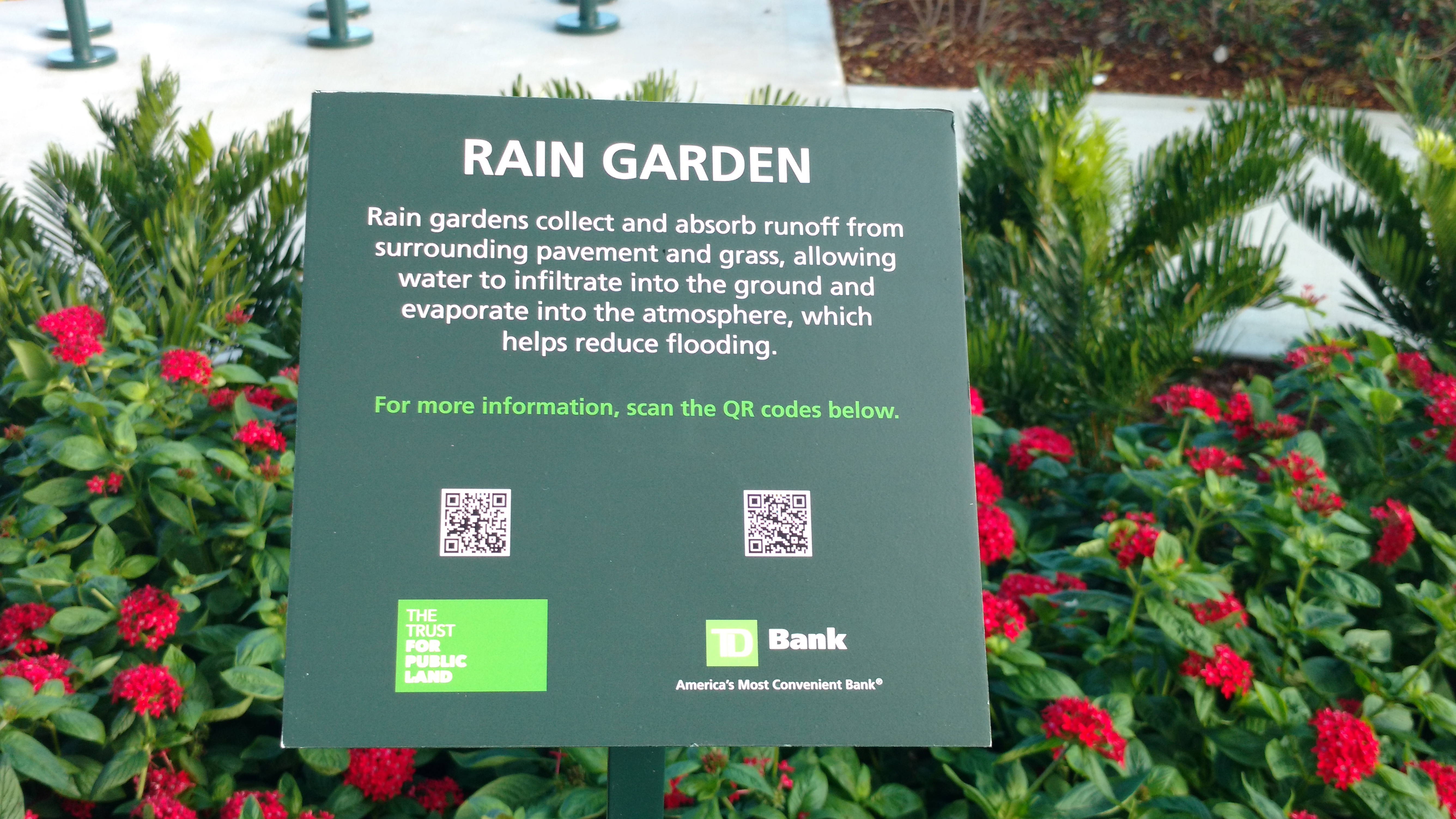 Td Bank Group Helps Build Green Infrastructure In Miami
