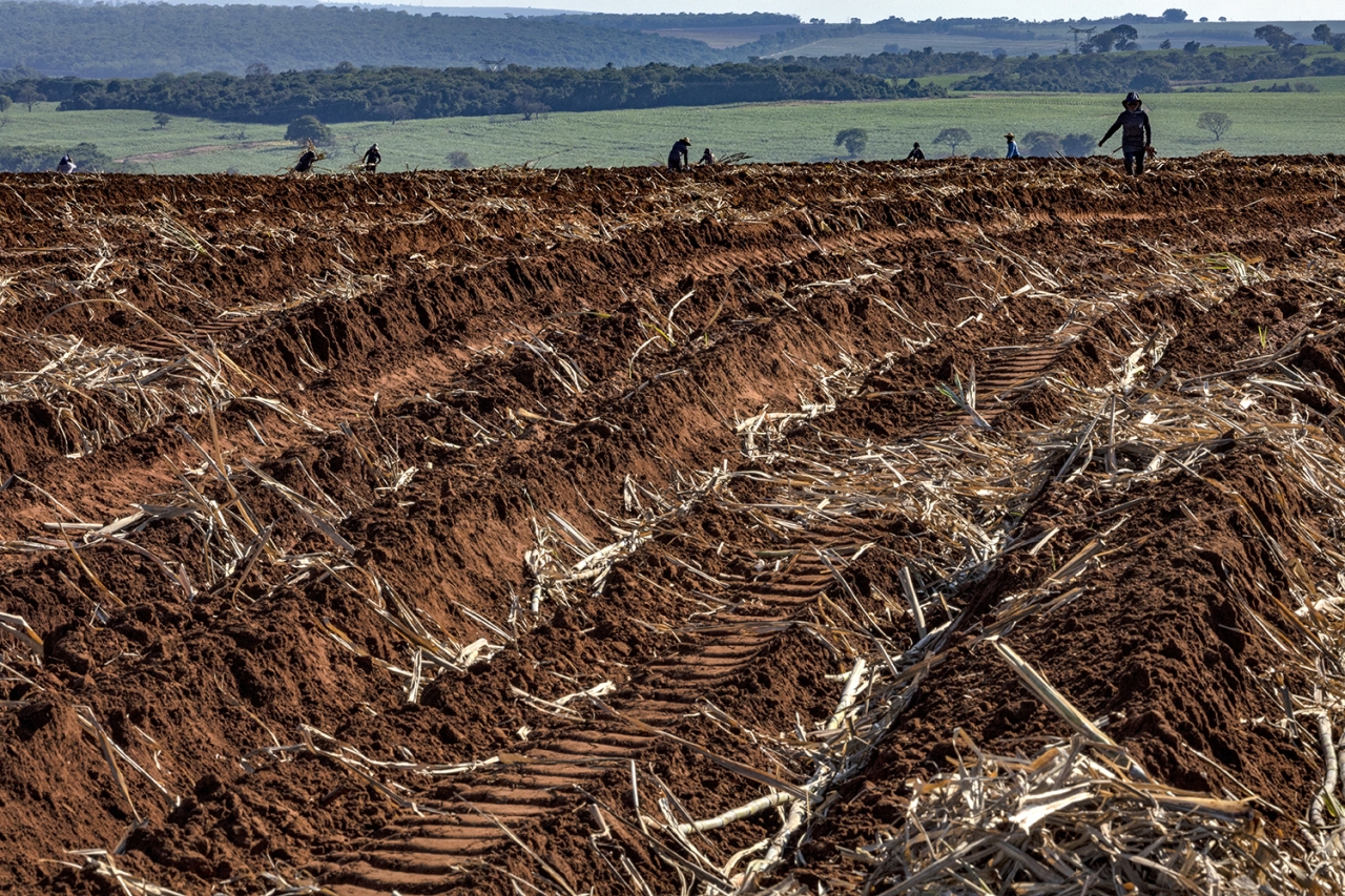 El nuevo Estándar de Producción de Bonsucro