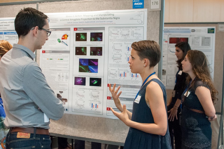 policy pursuits take two amgen scholars beyond the lab amgen careers