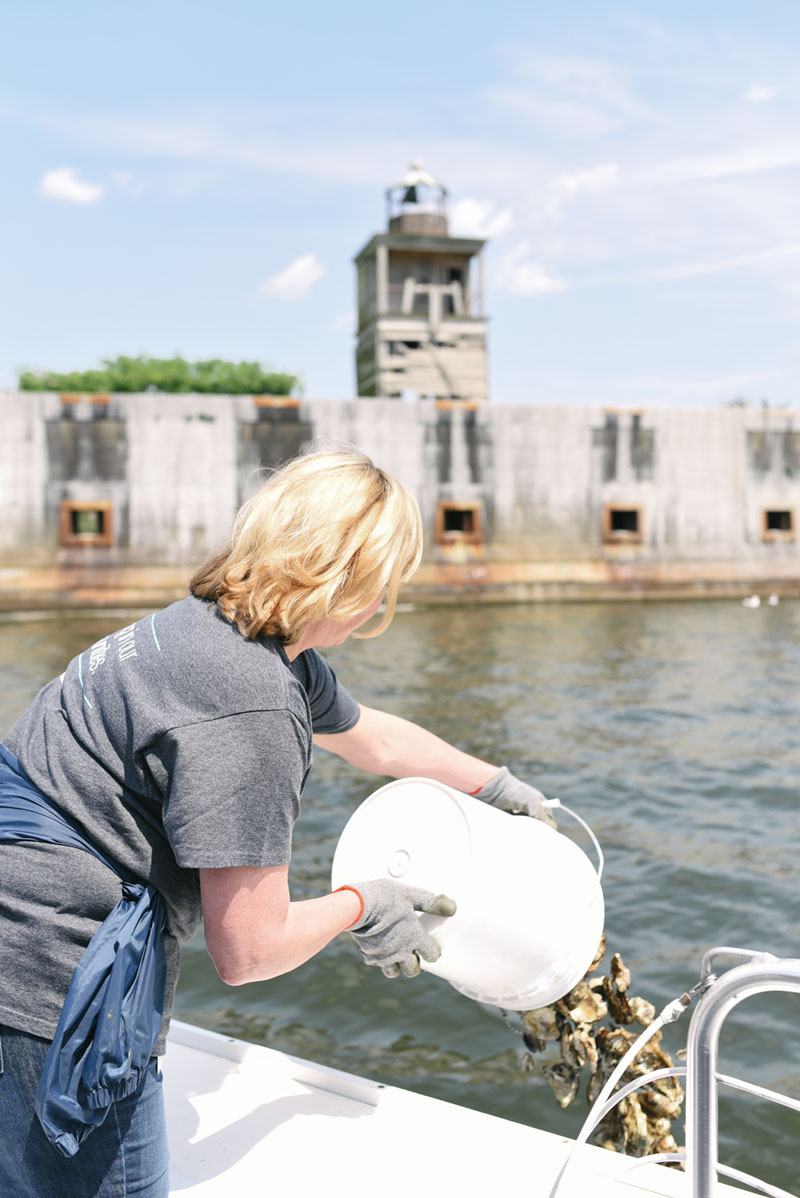 Raising Oysters for a Healthy Harbor in Baltimore