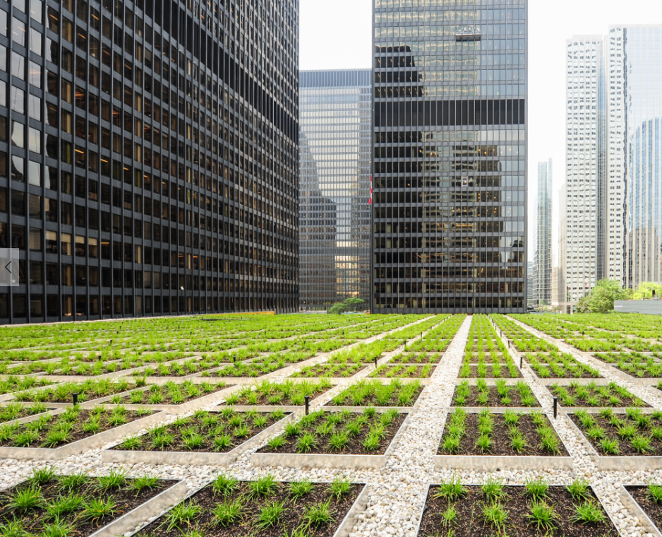 Td Listed On Dow Jones Sustainability World Index S