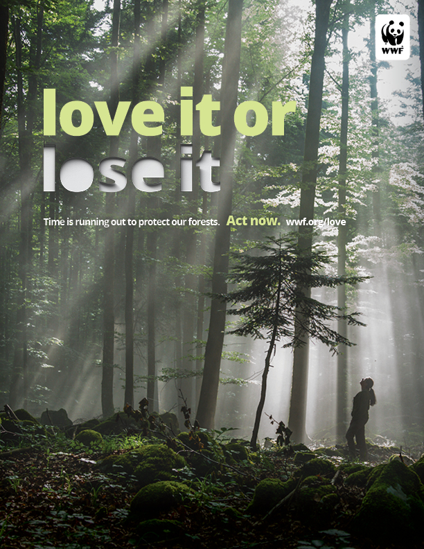 Wwf National Branding Campaign Marks 21 As The Year To Sho