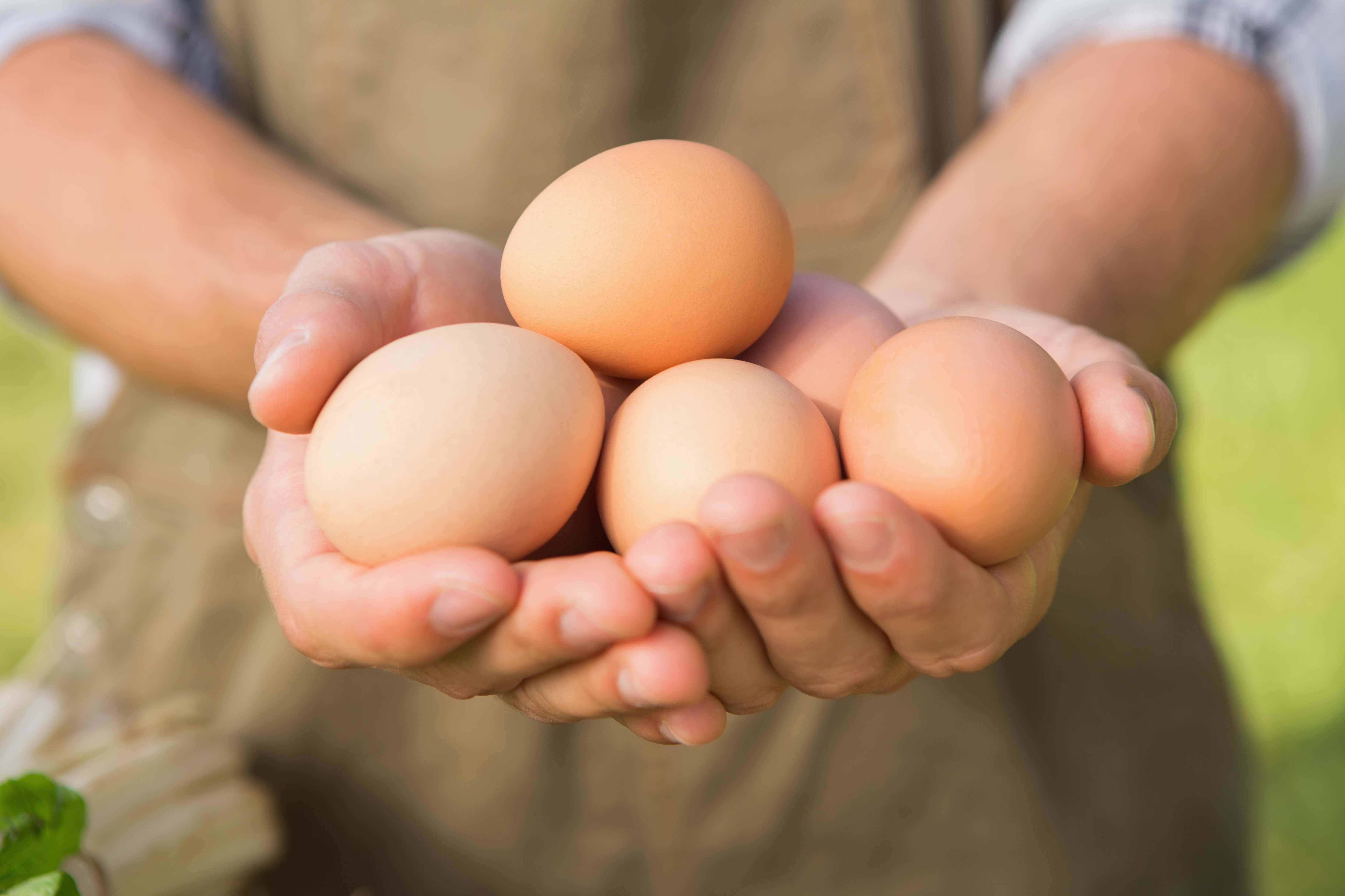 Nestlé to Source Only CageFree Eggs by 2025