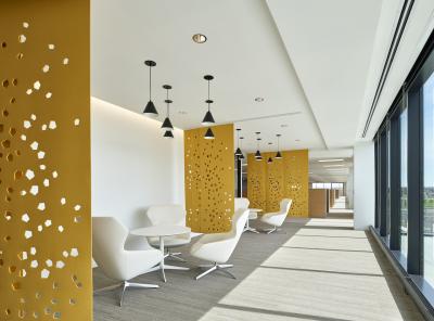 More than 115 meeting rooms of various configurations light up the new Subaru of America corporate headquarters with natural light in an open-office environment. Photo credit: © Jeffrey Totaro, 2018.