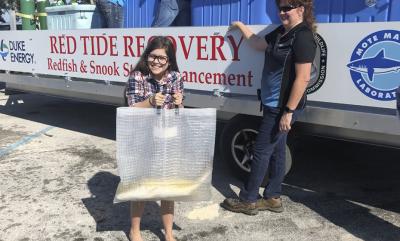Genesis Garrett, 11, releases one of 300 adult redfish donated to red tide recovery efforts by Duke Energy's Crystal River Mariculture Center.