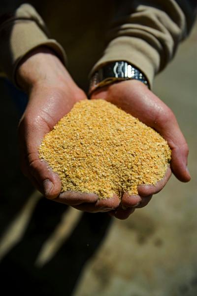 U.S. Soy achieved a key milestone earlier this year, passing 100 million metric tons of soy shipped under the SSAP program since its inception in 2013. Currently, about 80% of U.S. Soy exports to Europe are verified under SSAP.