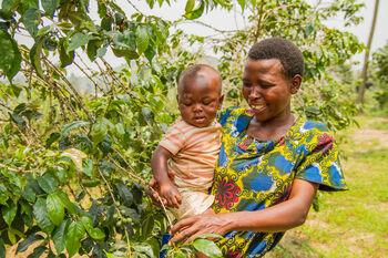 Photo Courtesy of Fair Trade USA: MUSENGIMANA LAURENCE, RWANDA Musengimana joined a fair trade cooperative in 2006, and since then has been able to buy clothes instead of having to make her own. She has also been able to invest in fertilizing her coffee trees to increase the quality of her coffee. She hopes to use her coffee income in the future to build a permanent home for her family and to invest in expanding her sewing business. Photo by Bennett Wetch