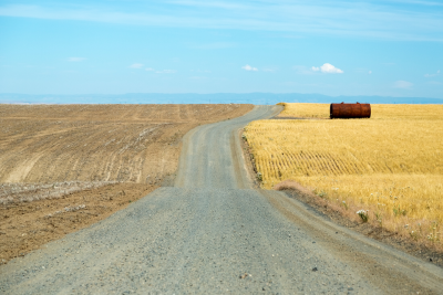 Photo Credit: Canva.com