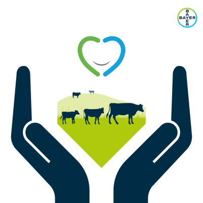 Bayer facilitates the sharing of science and innovation among cattle professionals towards advancing cattle health and well-being.