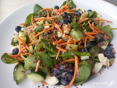 Blueberry Quinoa Salad