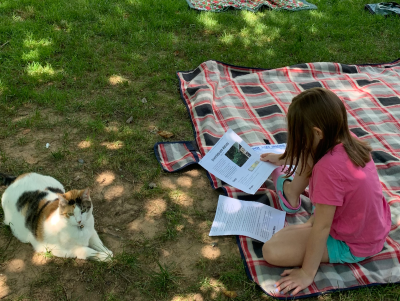 Subaru of America, in partnership with the American Association for the Advancement of Science (AAAS), creates science-based activities for families and online educational resources for educators. Pictured: Child reviews directions for the Invertebrate Hotel activity. Photo credit: Suzanne Thurston.