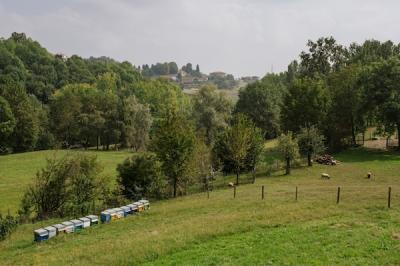 The Paideia Social Farm in Northern Italy provides families with a chance to reconnect with nature and learn about the natural environment in a fun and engaging manner.