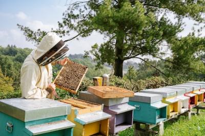 Visitors can learn about the fundamental role bees play in productive agriculture.