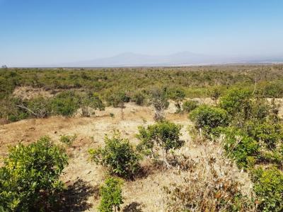 Enclosed forest areas that are recovering from past degradation. Photo: World Agroforestry Centre/Karl Hughes
