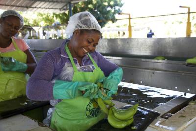 Fairtrade works to improve the livelihood of people in the banana sector through implementation of a living wage in Summer 2021 and advocating for decent working conditions