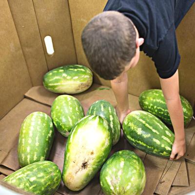 40 million people struggle with hunger in the U.S., including more than 12 million children, according to Feeding America.