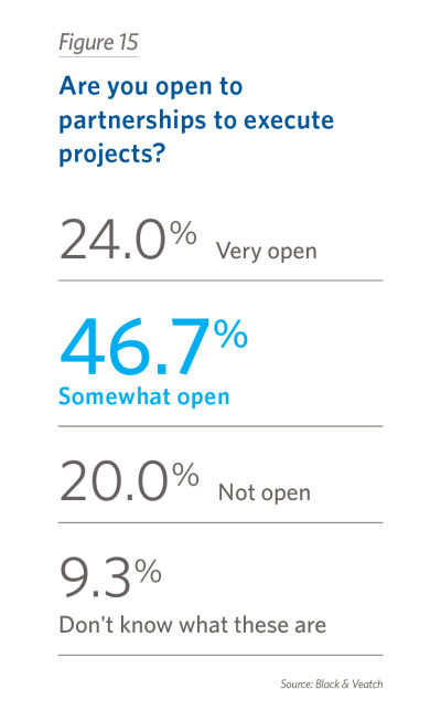 Are you open to partnerships to execute projects?