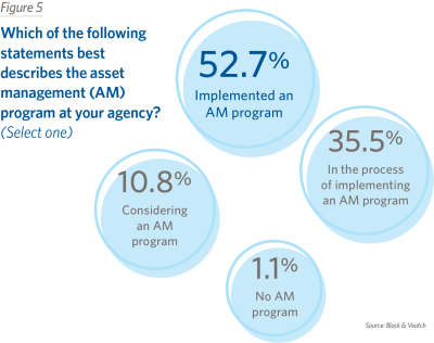 Which of the following statements best describes the asset management (AM) program at your agency? (Select one)