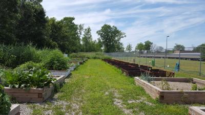100 Korean shipping crates from GM’s Lake Orion site are being repurposed at the Brownstown Battery garden where members of the community can grow flowers and vegetables.
