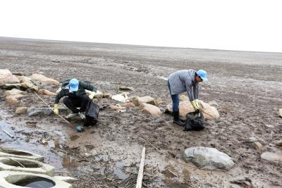 GM Shanghai supports a national nature reserve through volunteerism.