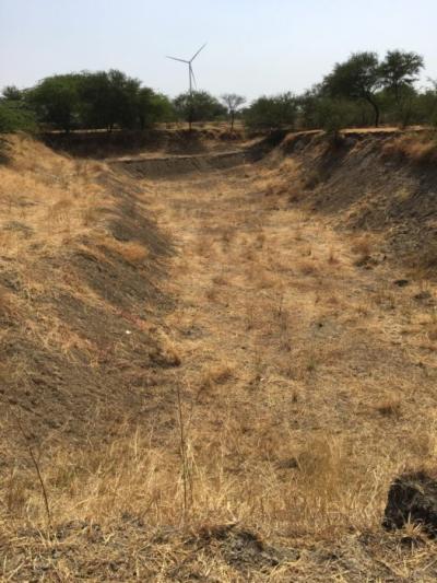 Rainwater harvesting farm pond serves five hectares in Dhaturia, India.