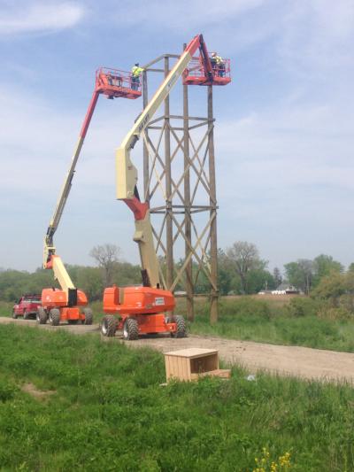 The 65-foot tower is intended as a new perch for Harold and Ludwig, a pair of peregrine falcons that typically nest on the Whiting plant.