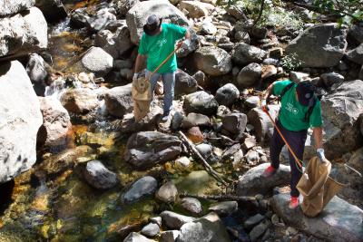 Through a series of clean-up events throughout September, Subaru retailers, employees, partners, owners and Ambassadors collected more than 25,000 pounds of materials from iconic locations.