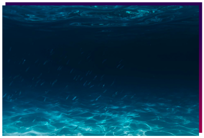 Sands is dedicated not only to providing industry-leading experiences for our guests, but to ensure our company’s environmental footprint has minimal impact on the environment – efforts we proudly undertake.