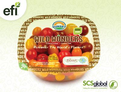 Mastronardi Completes 5th EFI Certification