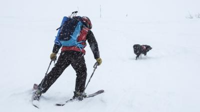 At select Subaru WinterFest events, ski patrollers will stage avalanche rescue demonstrations with their dogs. For every information form received during the WinterFest tour, Subaru will donate $1 to the Subaru National Ski Patrol Avalanche Rescue Dog Scholarship Fund, created in unison with NSP to send avalanche rescue K-9 teams to the biannual Wasatch Backcountry Rescue’s International Dog School. For information, visit www.subaru.com/winterfest and follow #SubaruWinterFest.