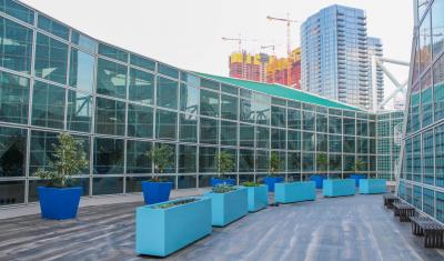 Planters with various vegetables and citrus trees line the rooftop of the Los Angeles Convention Center above the South Hall lobby to make up the convention center’s first rooftop garden in downtown Los Angeles.