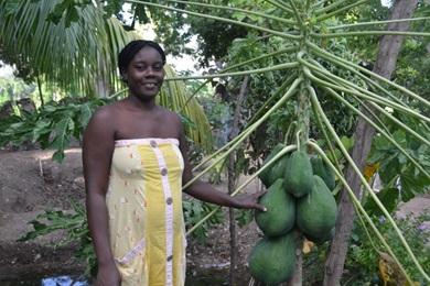SFA farmer member Mrs. Jean Robert Florvil stands by a papaya tree she earned from the nearby SFA community nursery. The tree grows enormous papayas that contribute to her increased household income.
