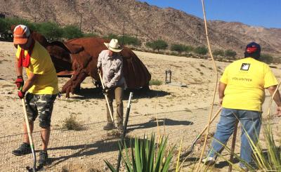 Edison volunteers clear brush and debris along the tribe’s desert tortoise exclusion fence. Credit: Susan Cox