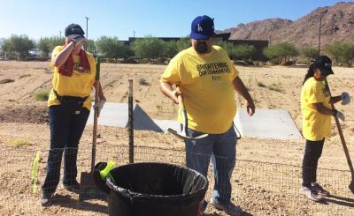 Edison volunteers clear brush and debris along the tribe’s desert tortoise exclusion fence. Credit: Susan Cox