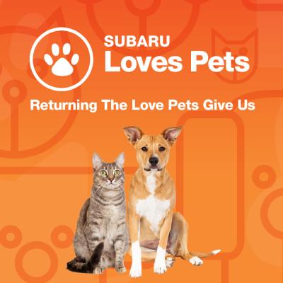 <a href="http://bit.ly/2lmzKns"target="_blank">To watch the 2017 Subaru Loves Pets Video visit the Subaru YouTube Channel by CLICKING HERE</a>